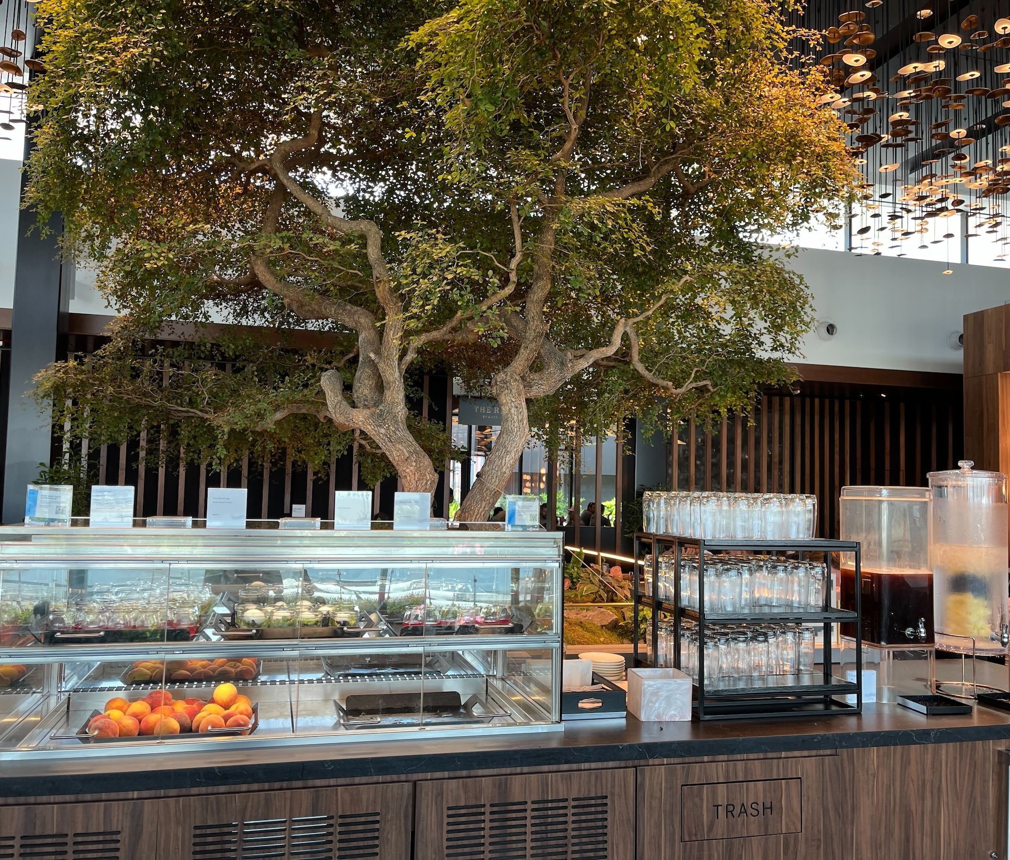 The Centurion Lounge, photo 10