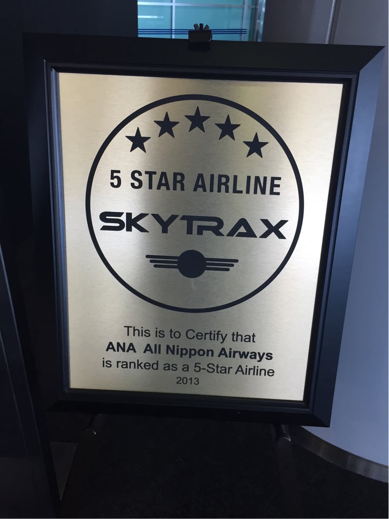 All Nippon Airways ANA Signet, photo 3