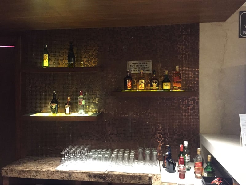 Air India Maharajah Lounge (Temporarily Closed), photo 8
