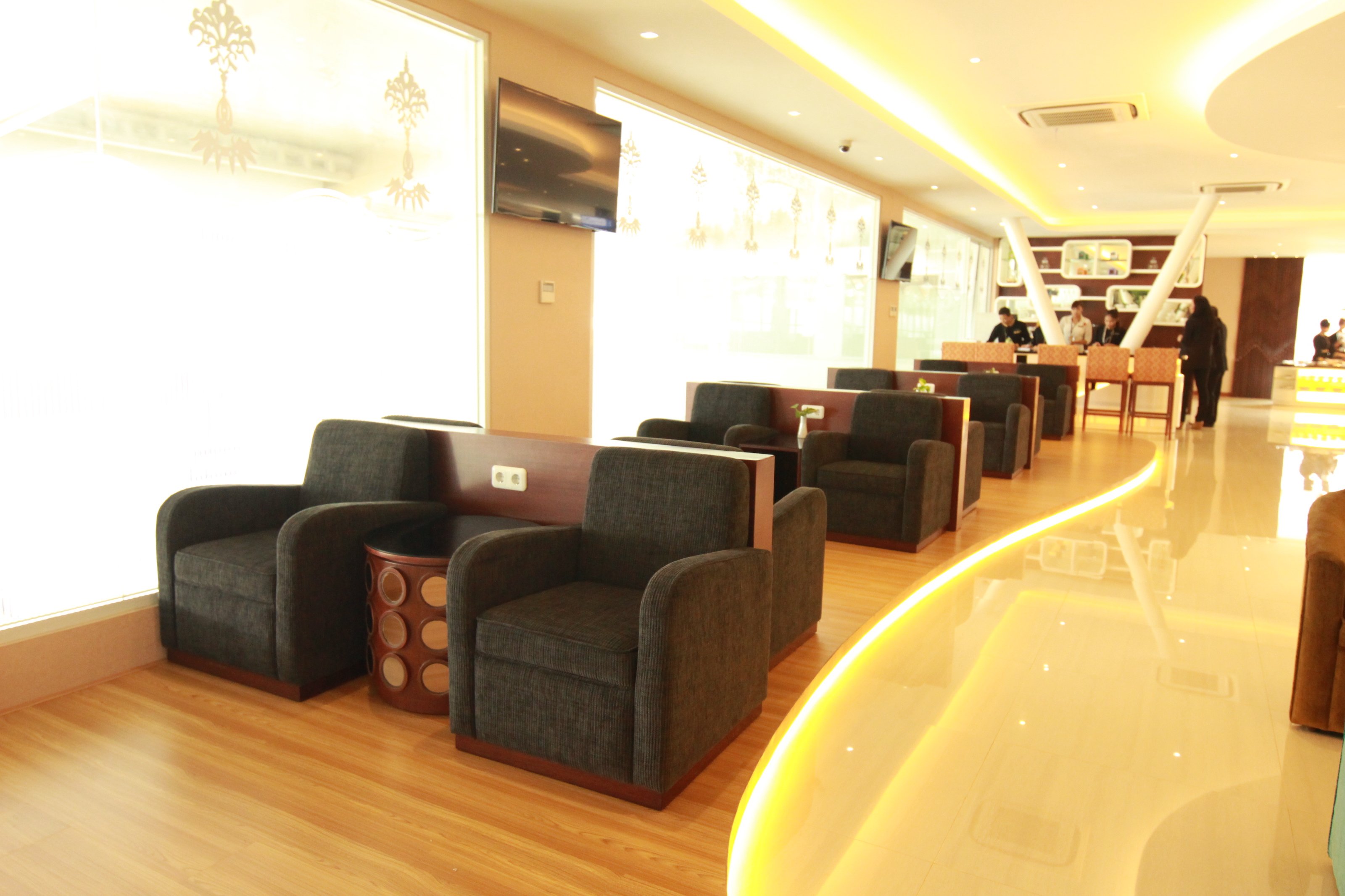 Concordia Blue Sky Premium Lounge (Temporarily Closed), photo 12