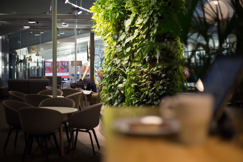 Pearl Lounge in partnership with Plaza Premium Lounge, photo 3