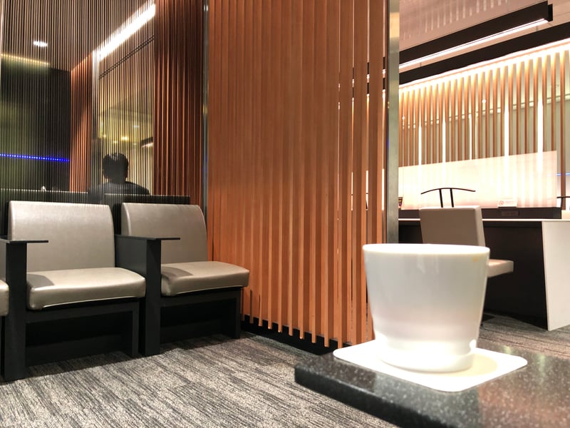 All Nippon Airways ANA Lounge, photo 9