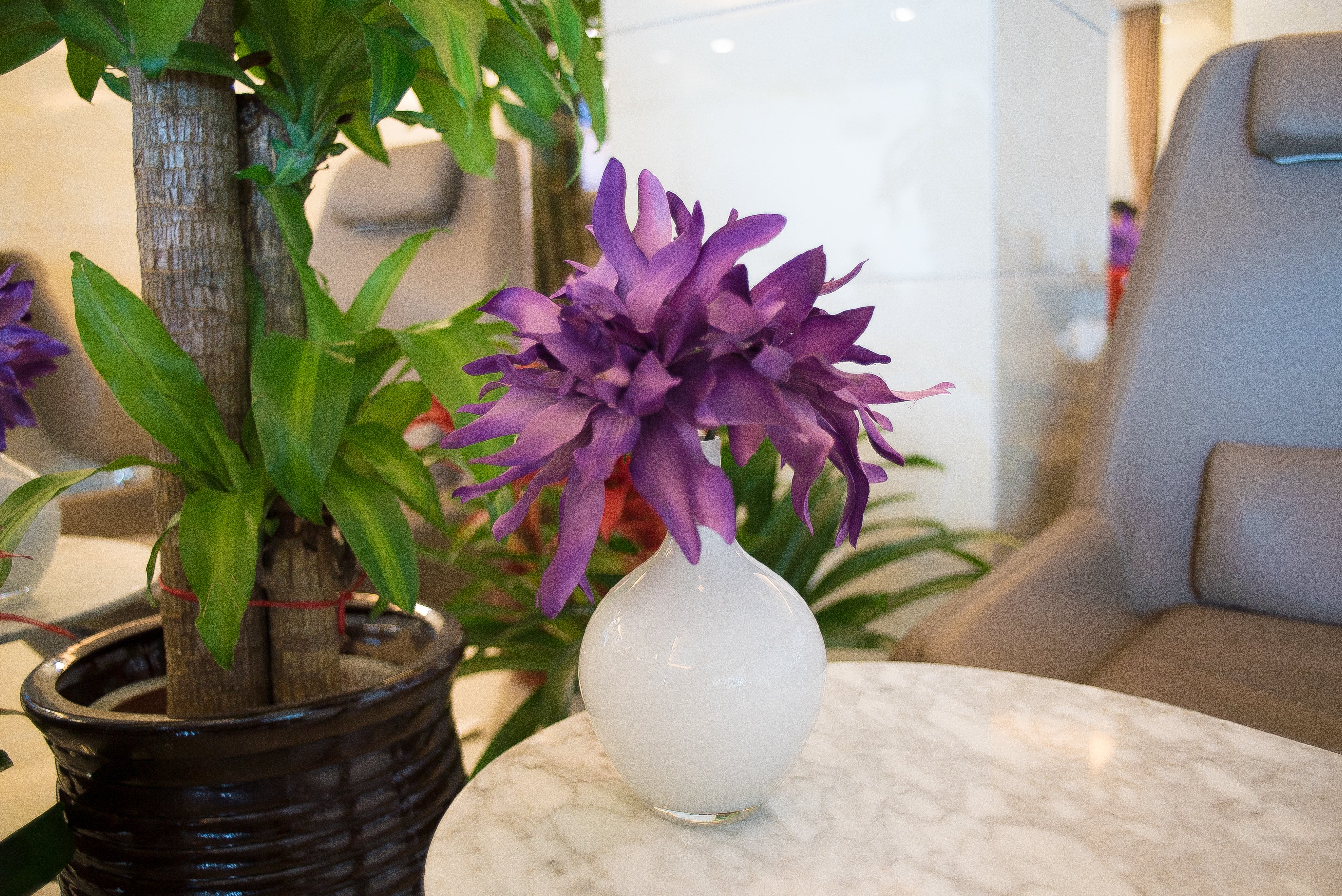 Tianjin Airlines Lounge, foto 8