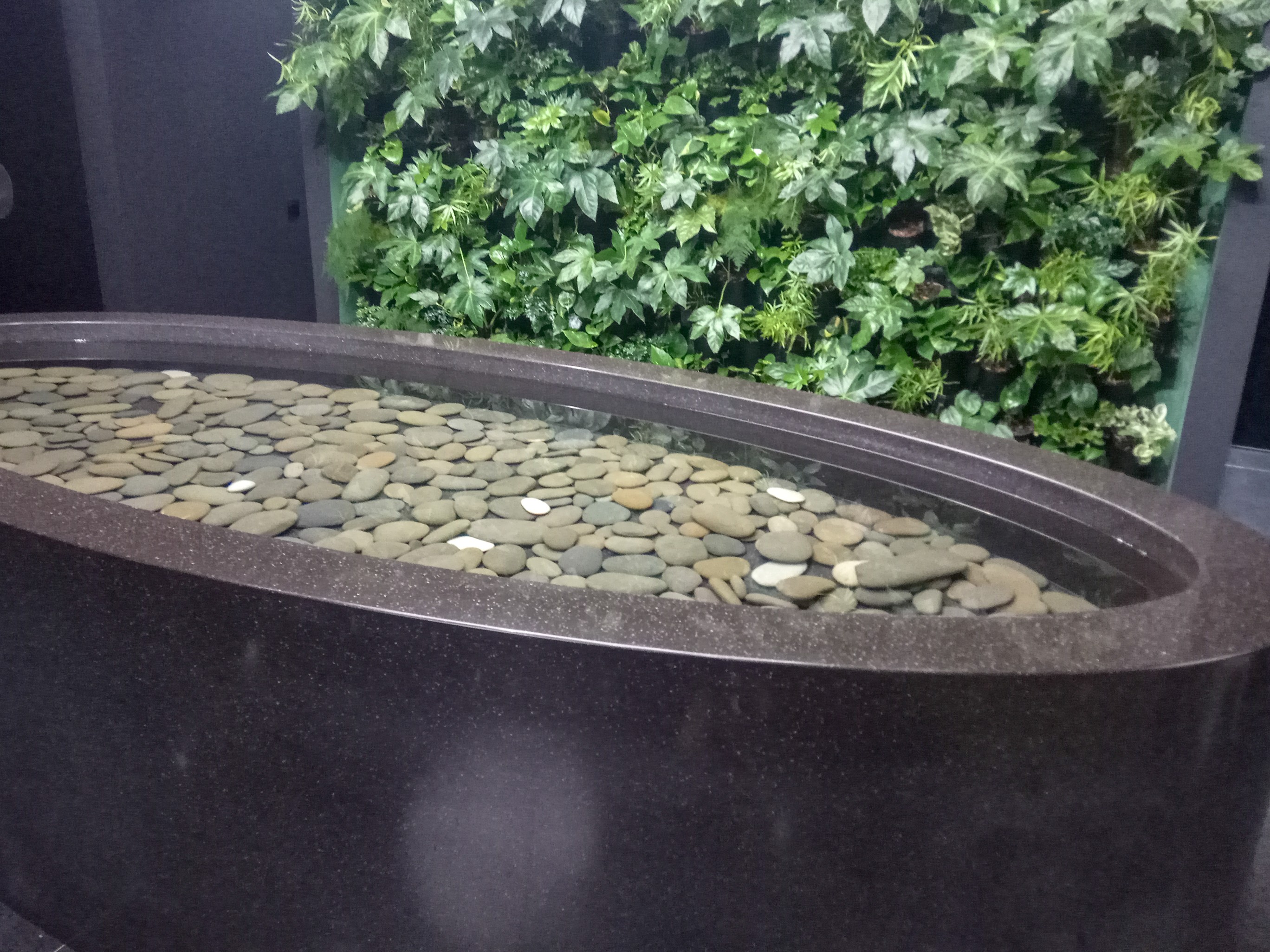 Opal Business Lounge (Domestic), photo 11