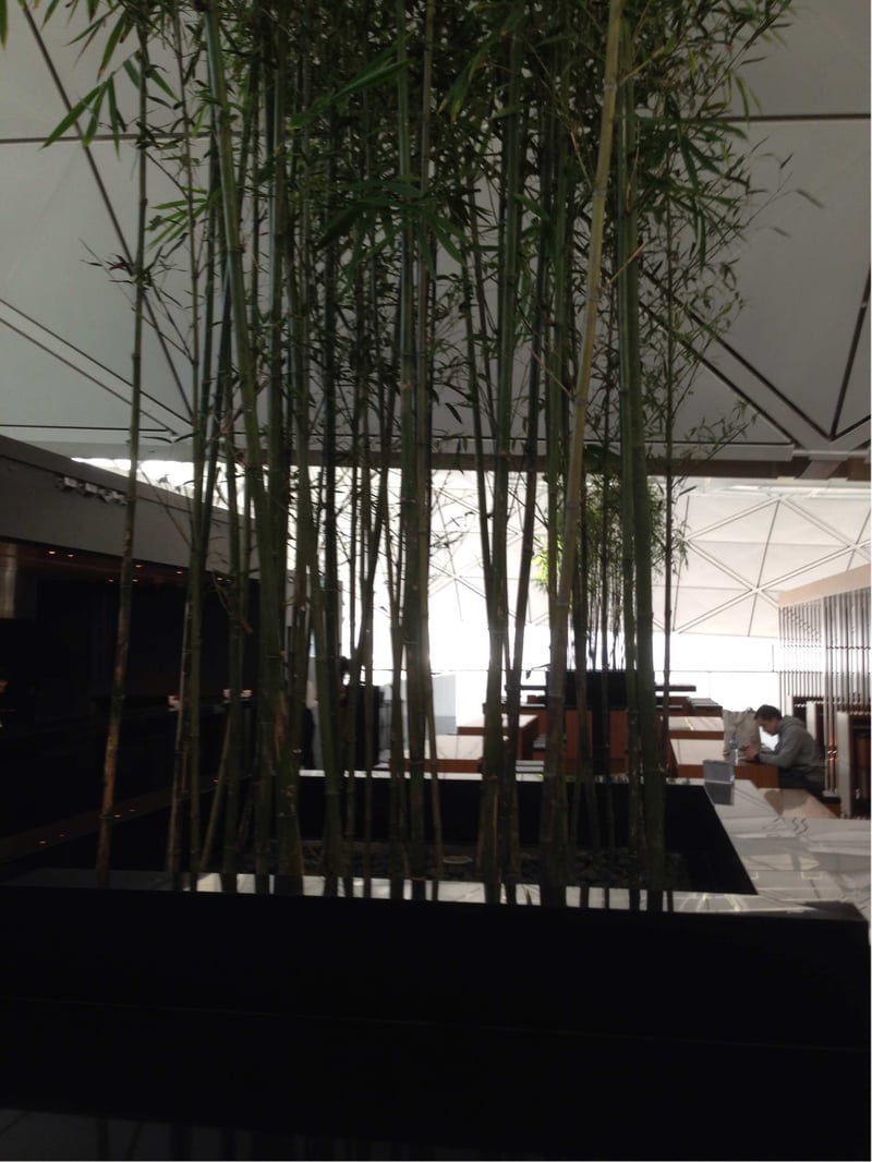 Cathay Pacific The Wing Business Class Lounge, foto 11