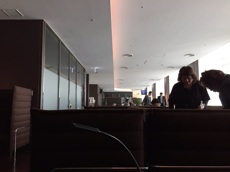 Airport Lounge (South), photo 11