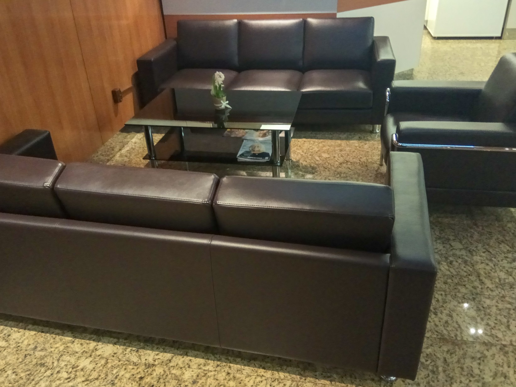 Business Lounge, foto 4