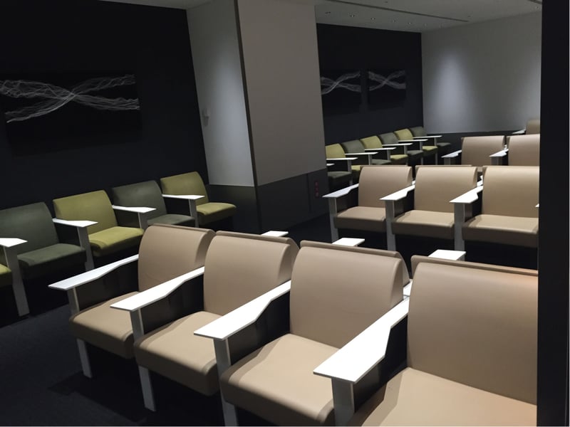 All Nippon Airways ANA Signet, photo 7
