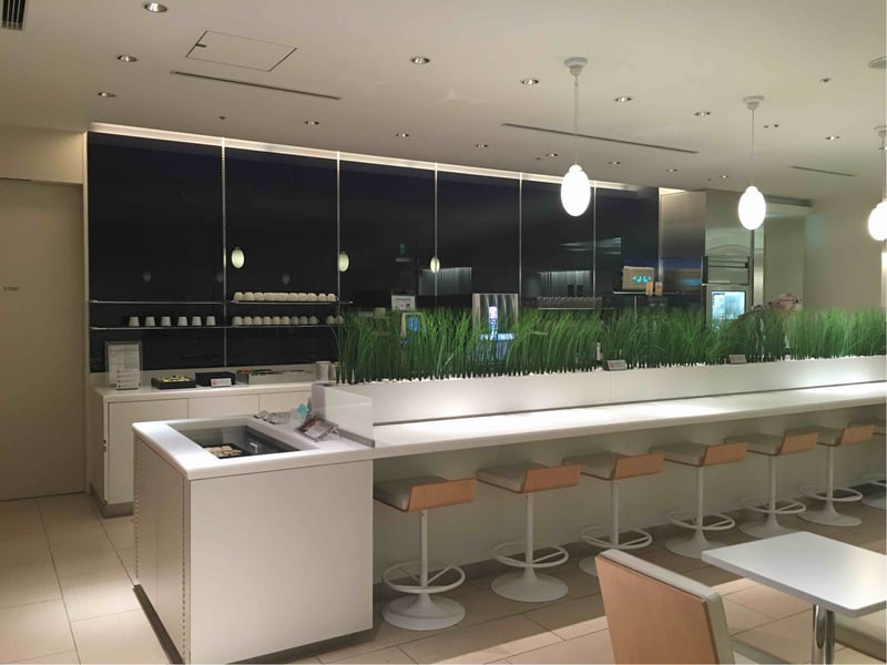 All Nippon Airways ANA Arrival Lounge, photo 8