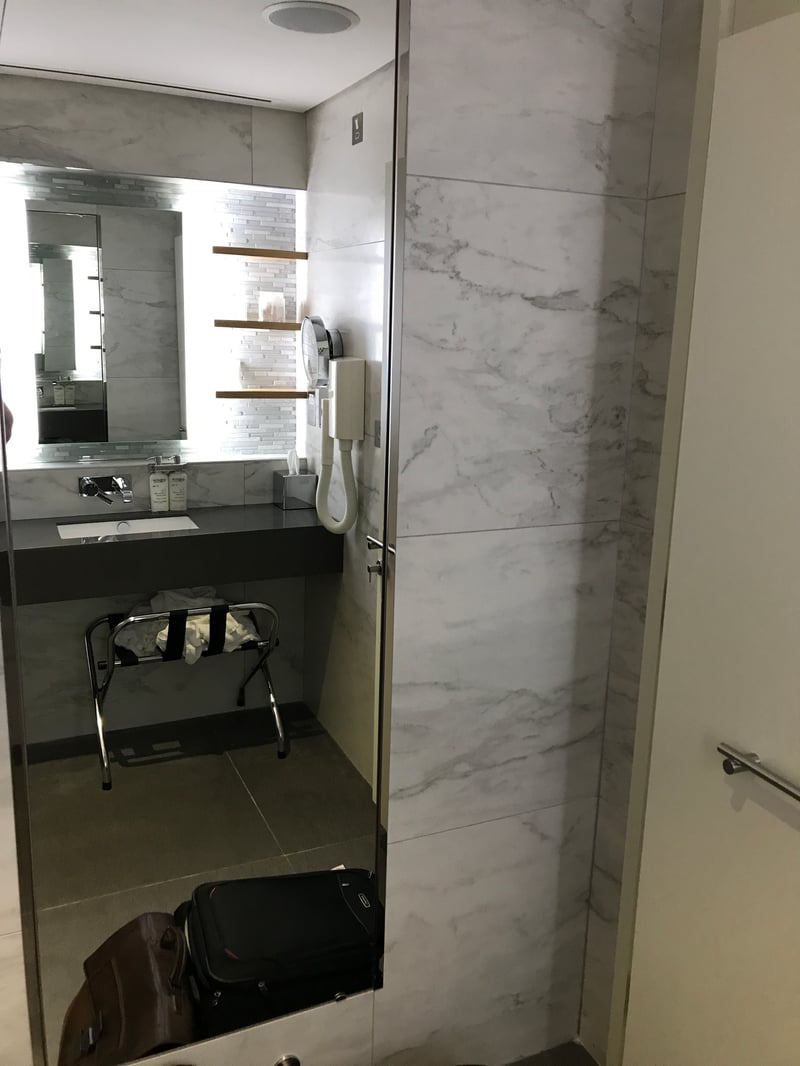 American Airlines Arrivals Lounge, photo 9