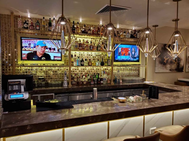 Mera Business Lounge (National), foto 2