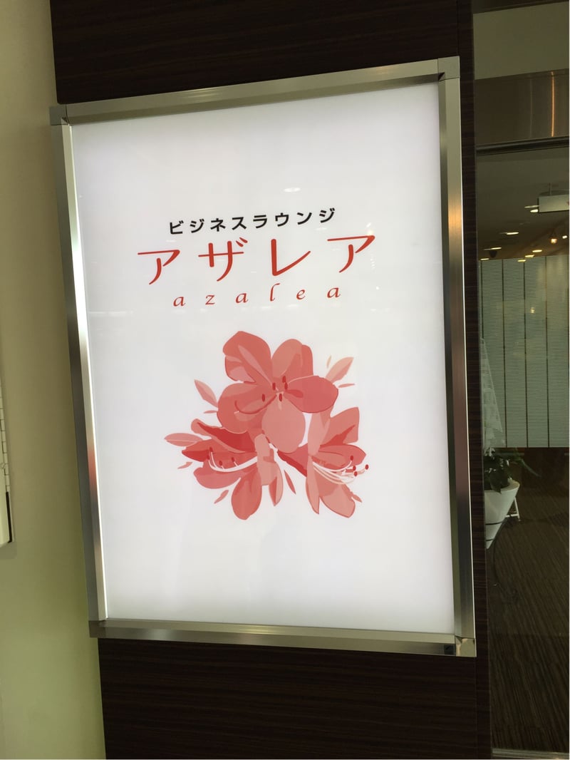 Business Lounge Azalea, foto 2