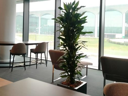 Pop Up Lounge, photo 5