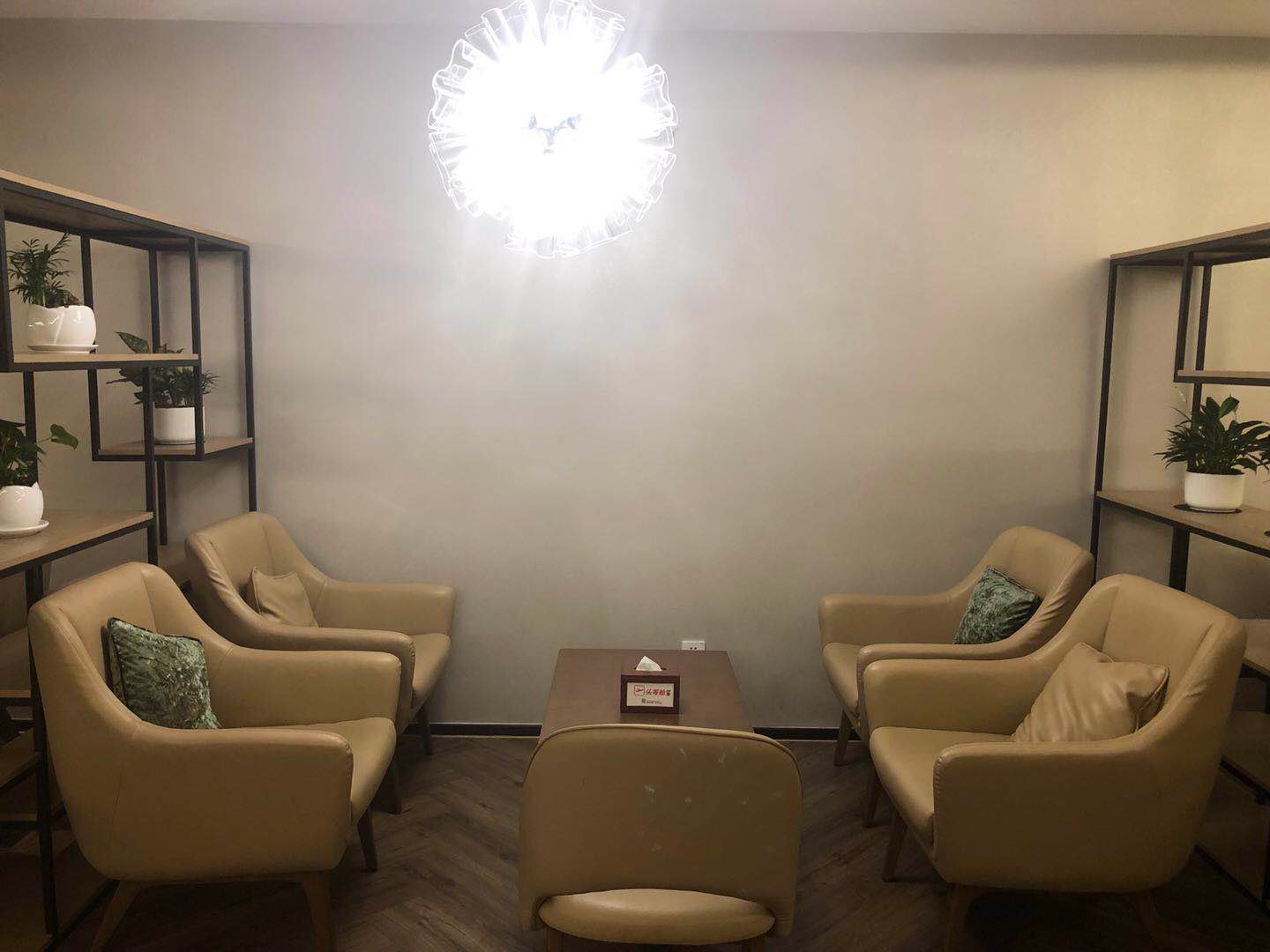 Shenzhen Airport First & Business Class Lounge (Joyee 2), foto 5