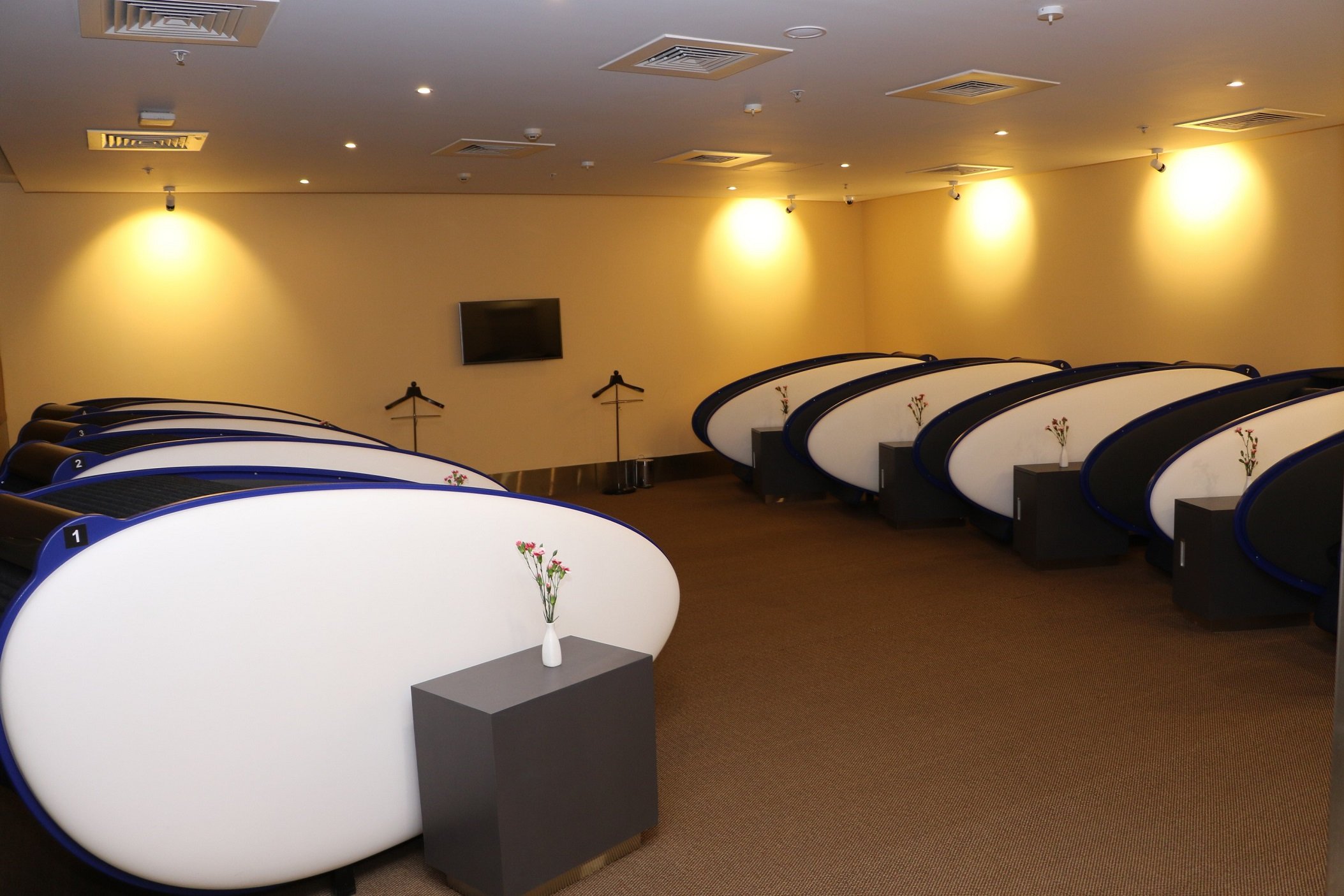 Aviserv Lounge (West), foto 4
