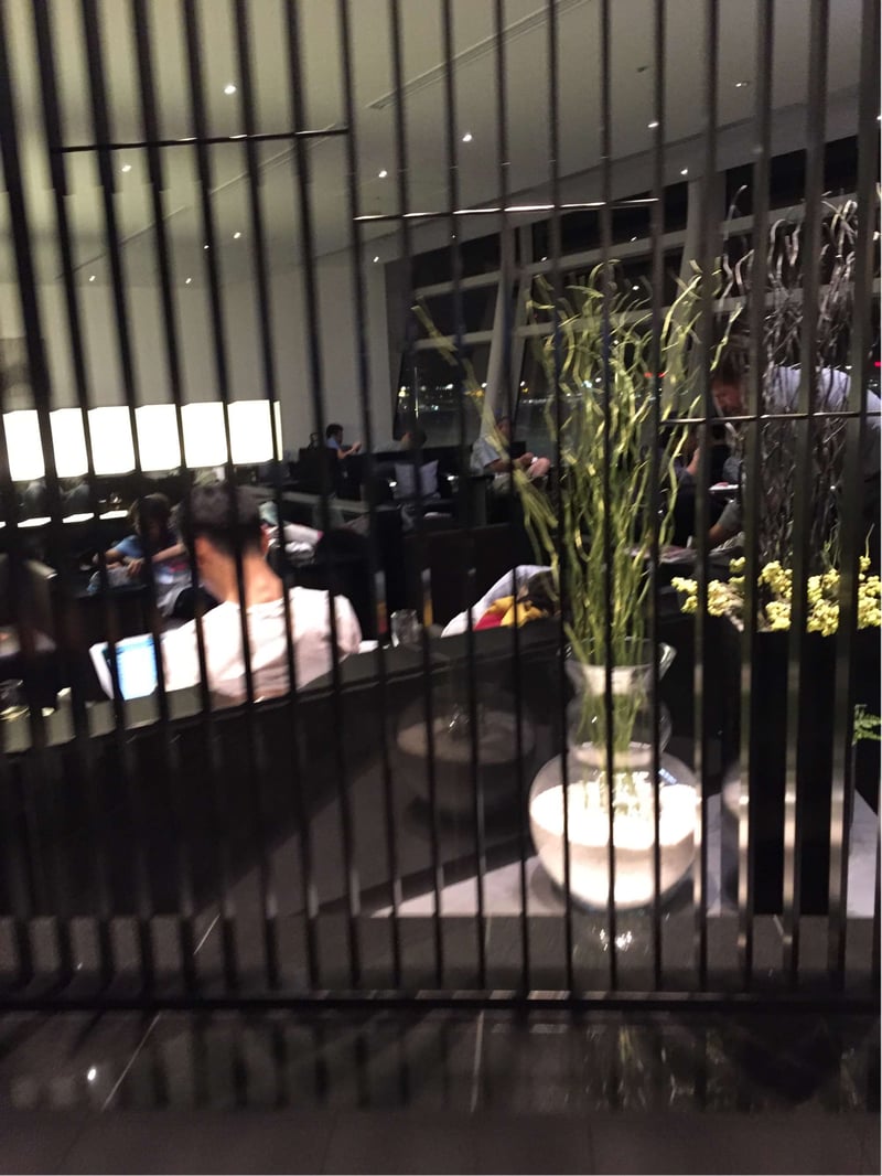 All Nippon Airways ANA Lounge (Gate 110), foto 8
