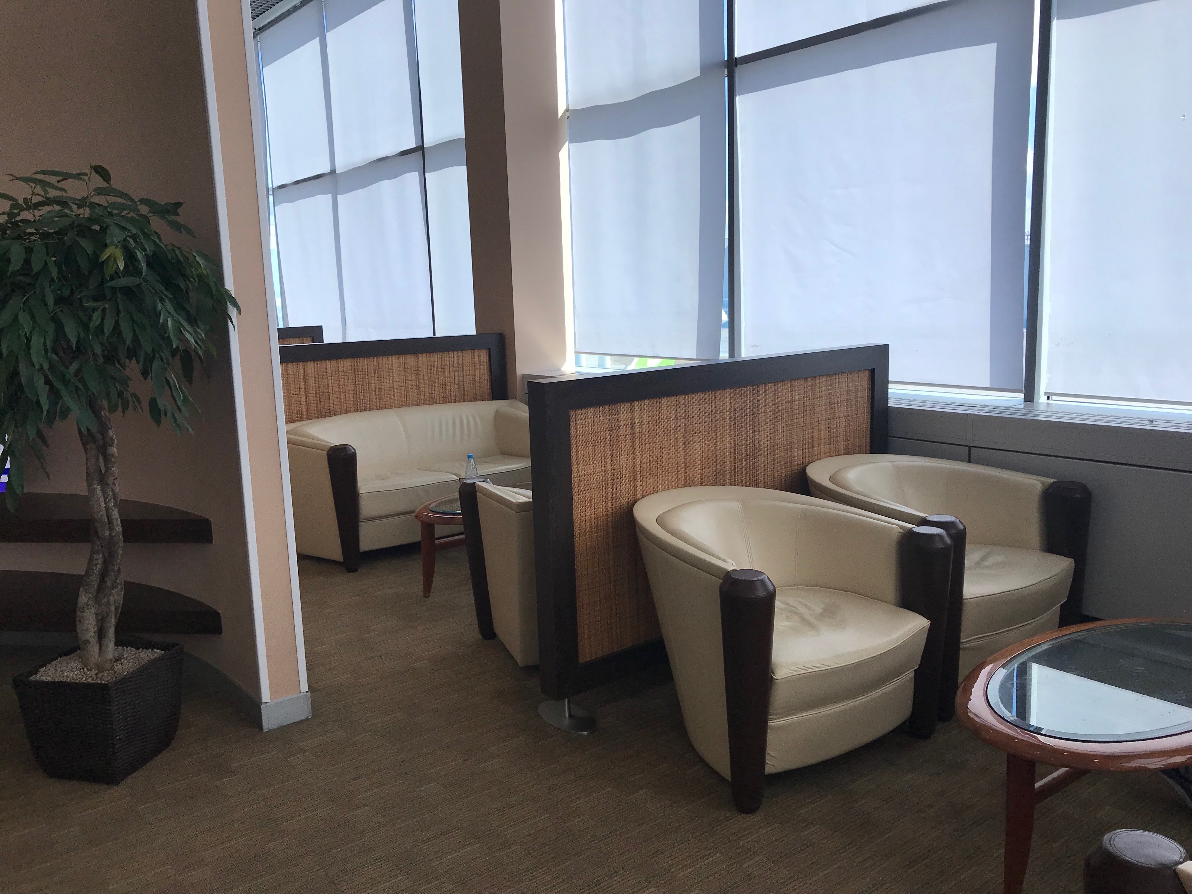 Domestic Business Lounge, photo 3