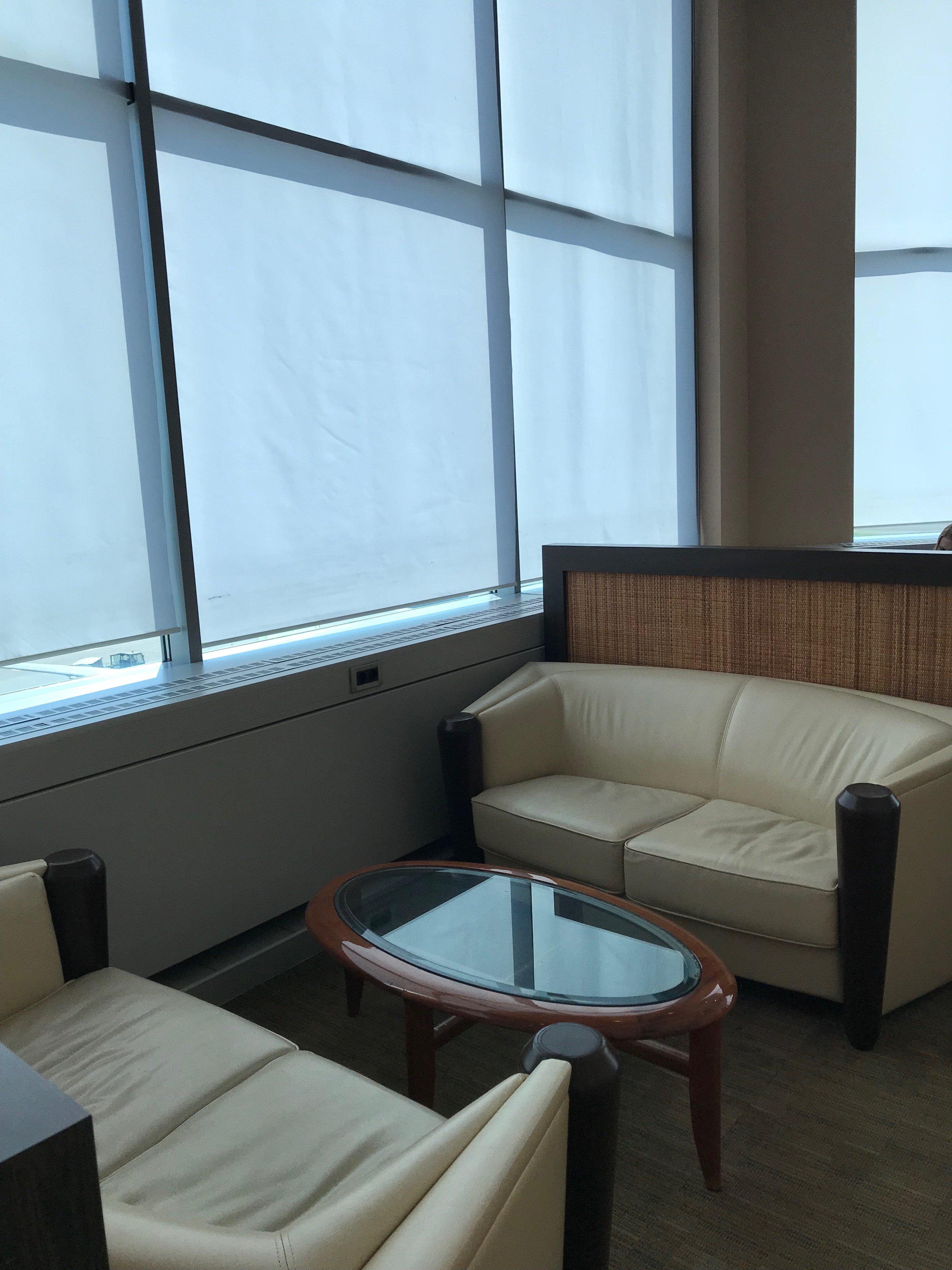 Domestic Business Lounge, photo 11