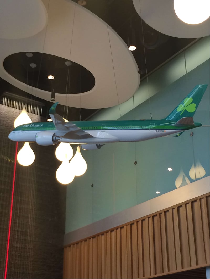 Aer Lingus Lounge, foto 9