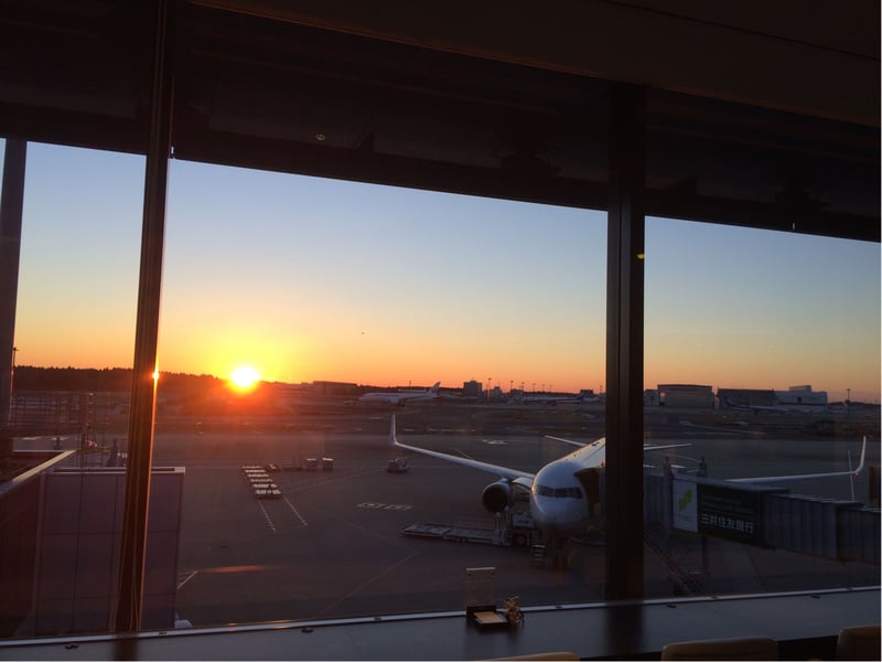 All Nippon Airways ANA Lounge, photo 8