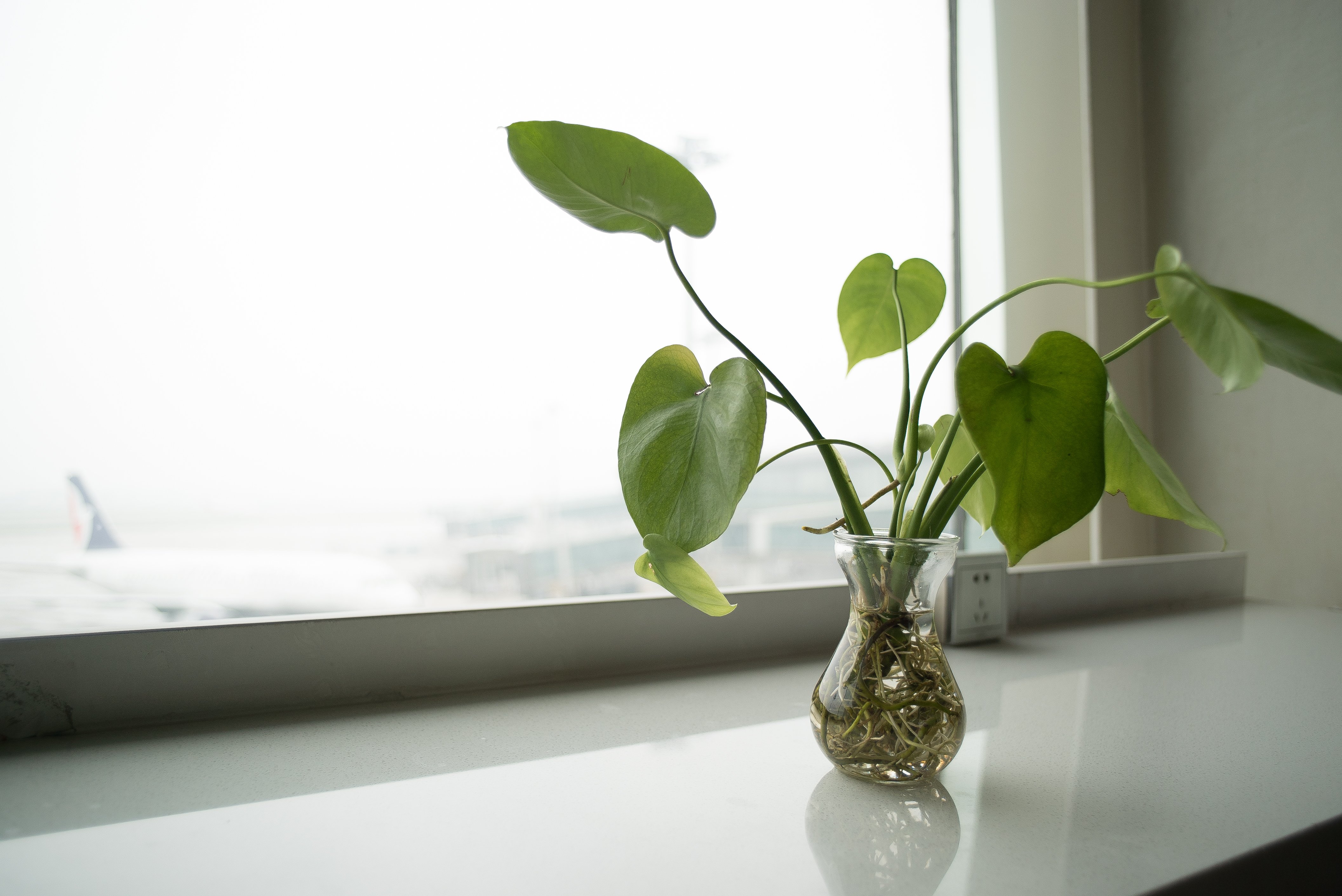International First Class Lounge (No. 3), photo 8