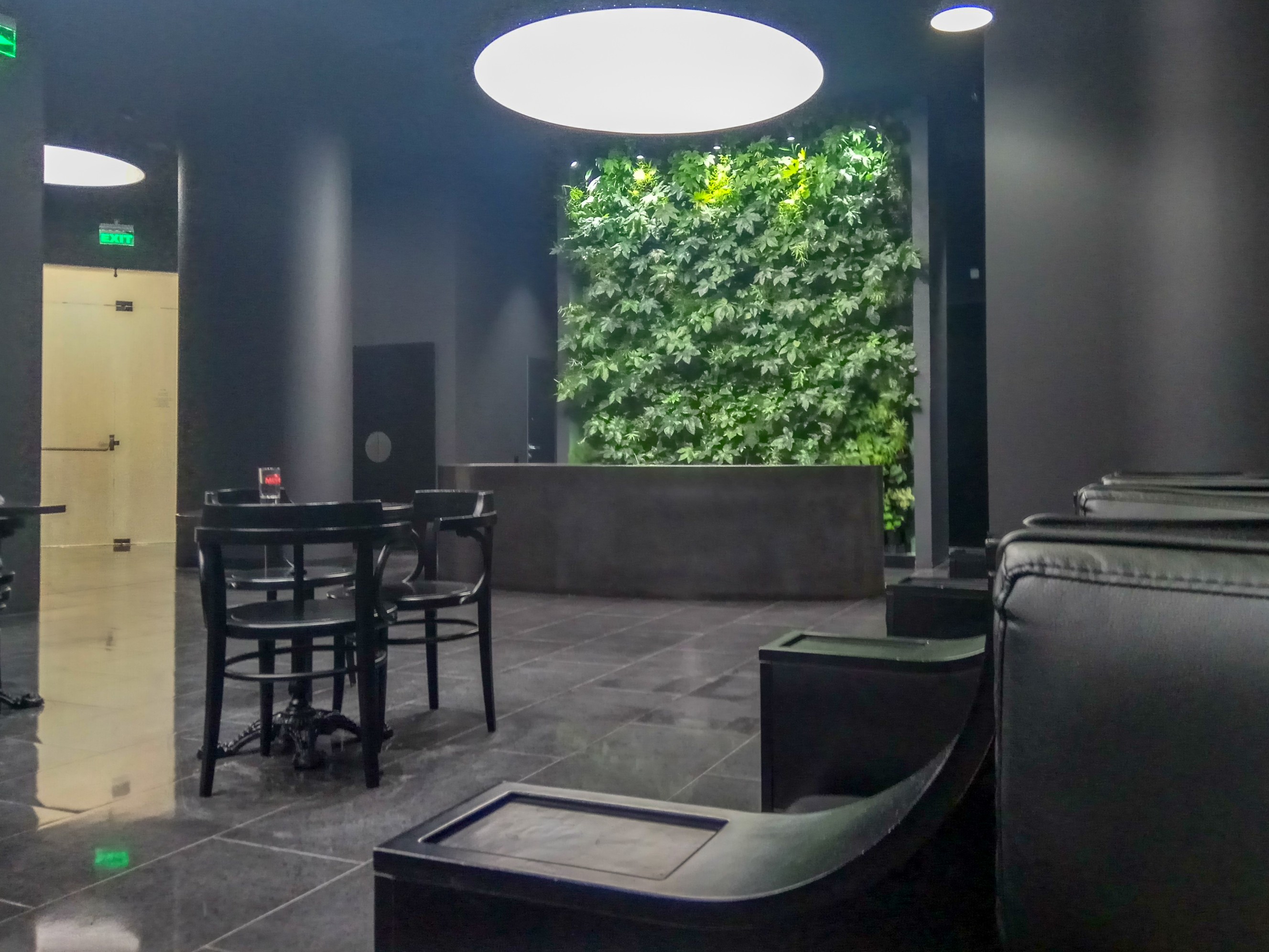 Opal Business Lounge (Domestic), photo 1