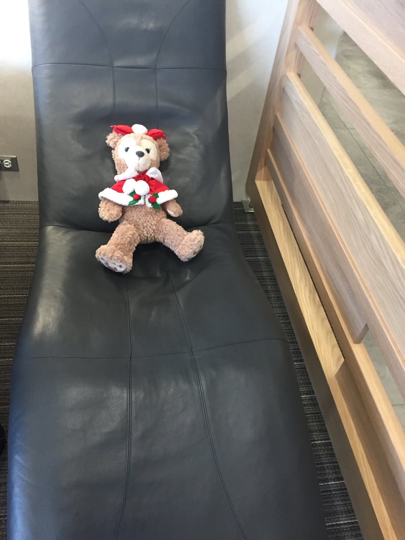 American Airlines Admirals Club, foto 2