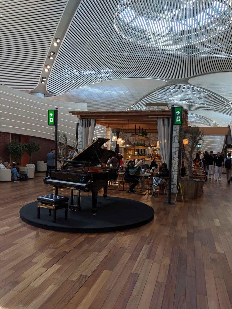 Turkish Airlines Business Lounge, photo 8
