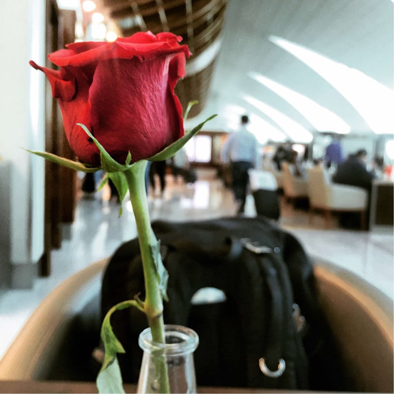 The Emirates Business Class Lounge, photo 10