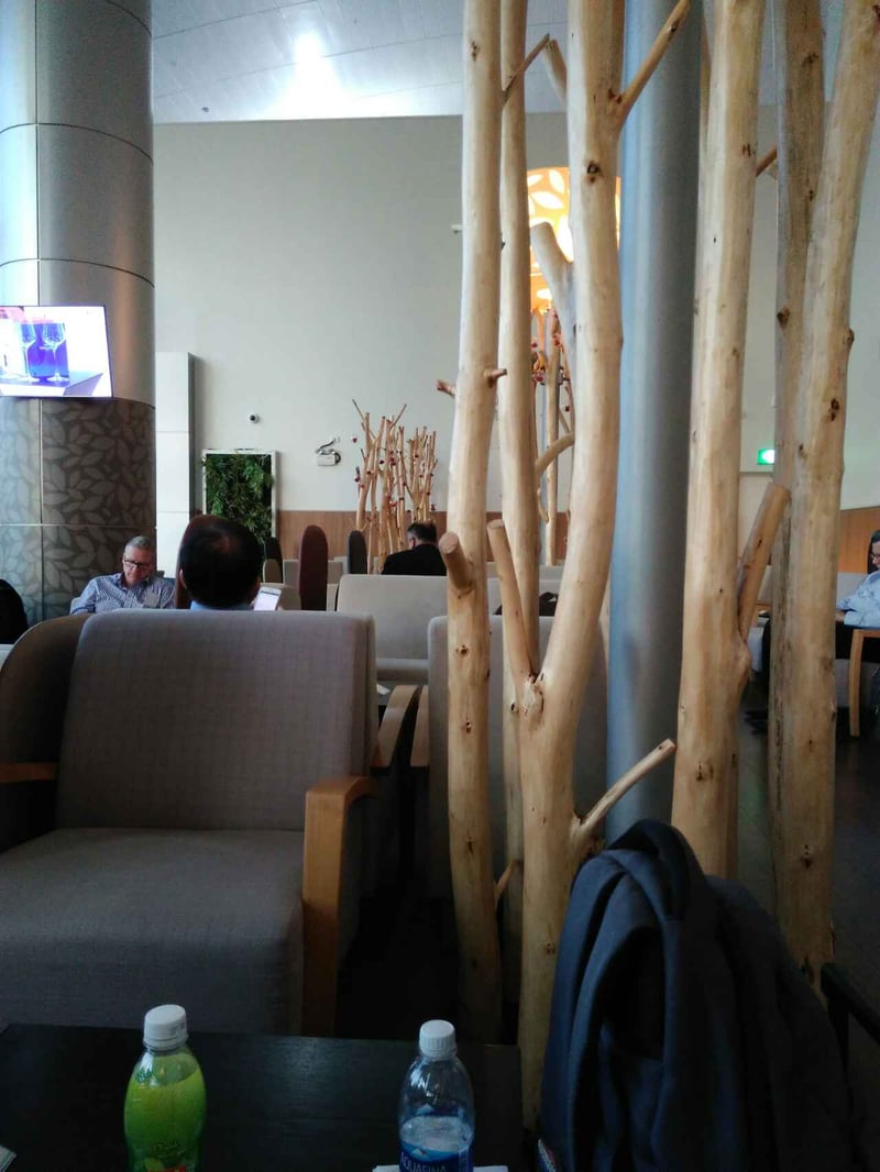 Rose Business Lounge, foto 11