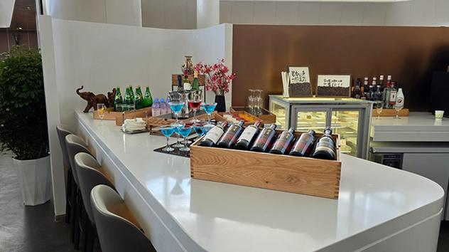 China Southern First/Business Class Lounge, photo 3