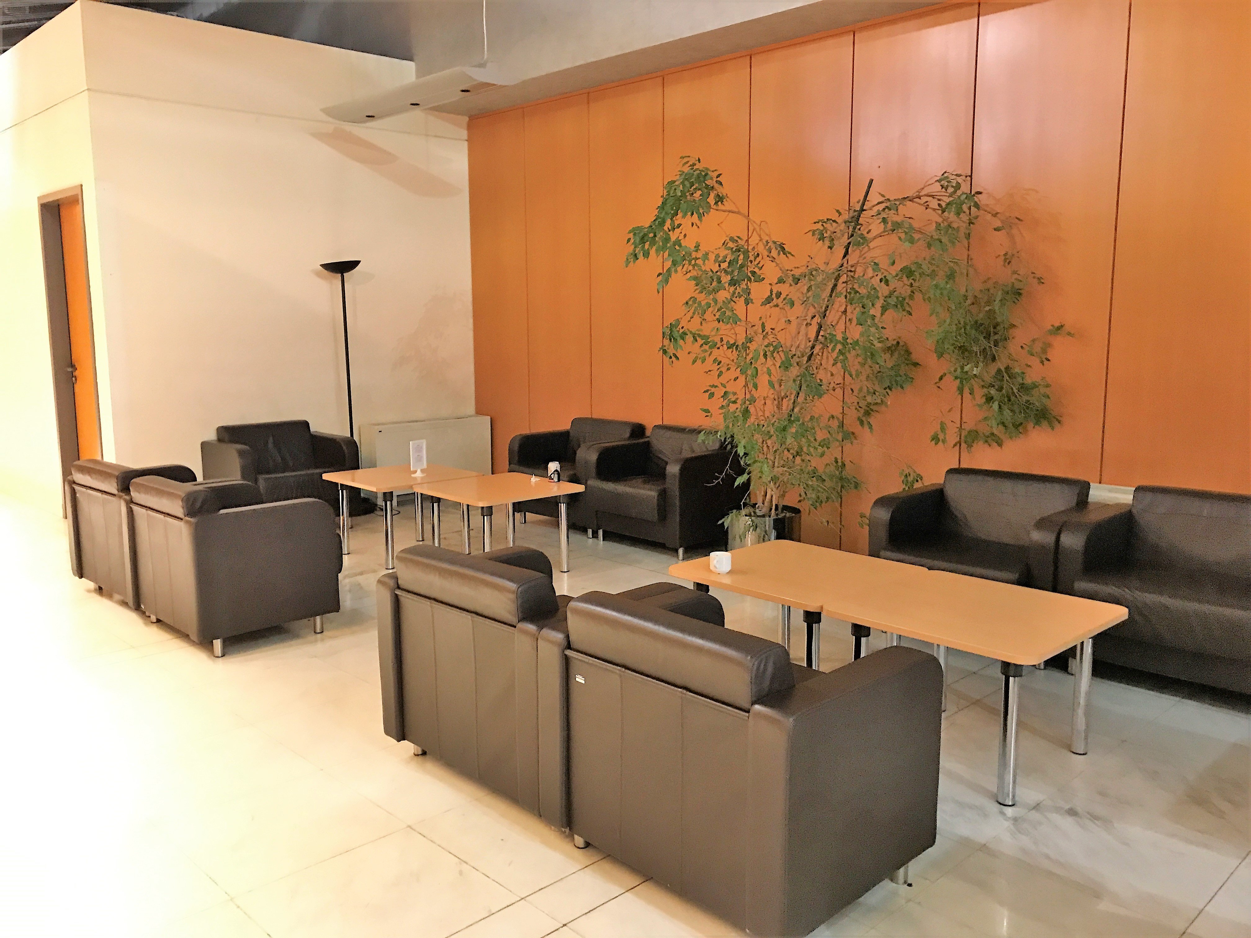 Skyserv Melina Merkouri Lounge, foto 2