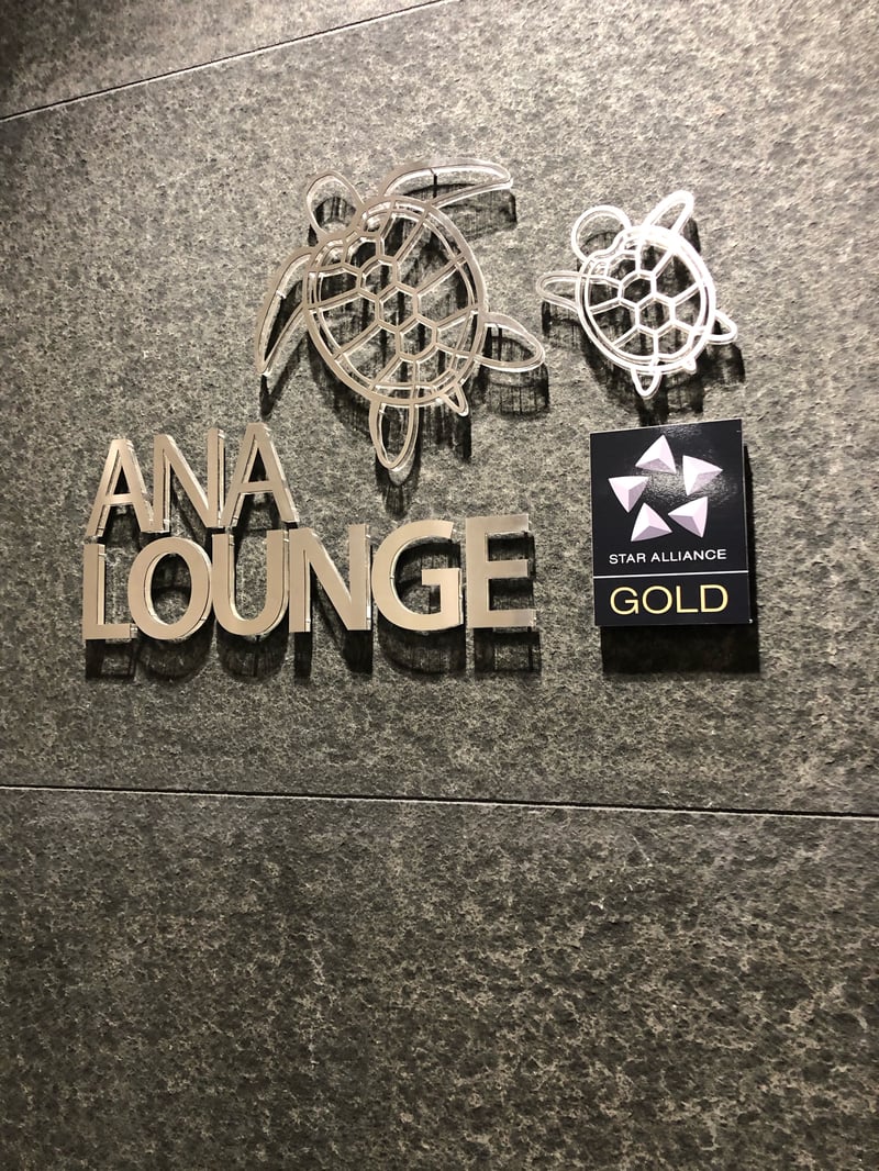 All Nippon Airways ANA Lounge, photo 2
