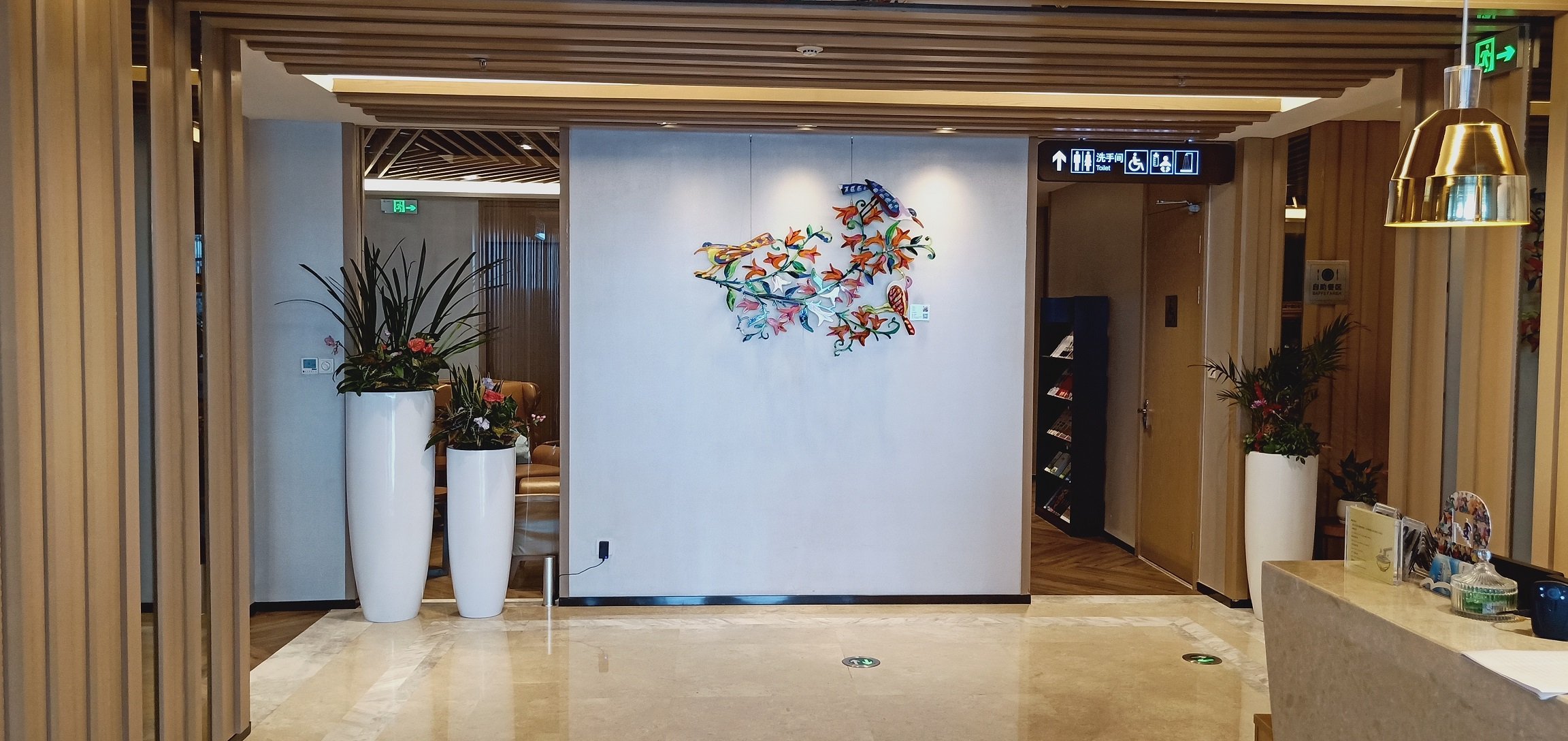 Shenzhen Airport First Class Lounge (Joyee 3), foto 4