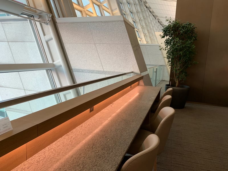 Asiana Airlines Business Class Lounge (East), foto 5