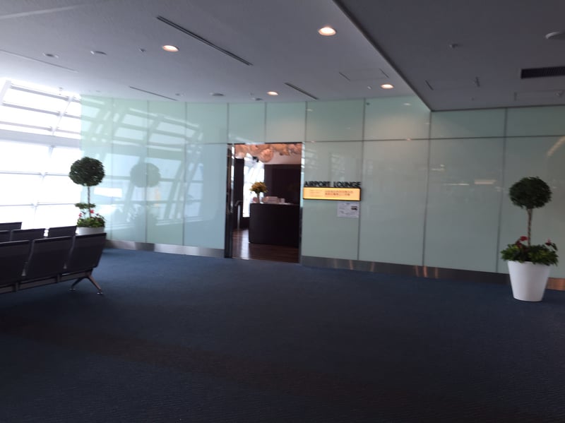 Airport Lounge (South), photo 2