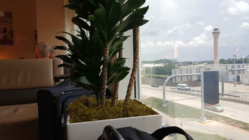 Air France Lounge, photo 10