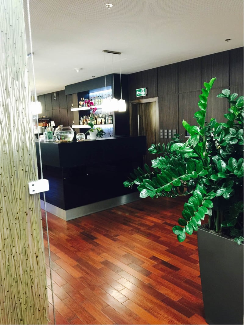 Executive Lounge, photo 11