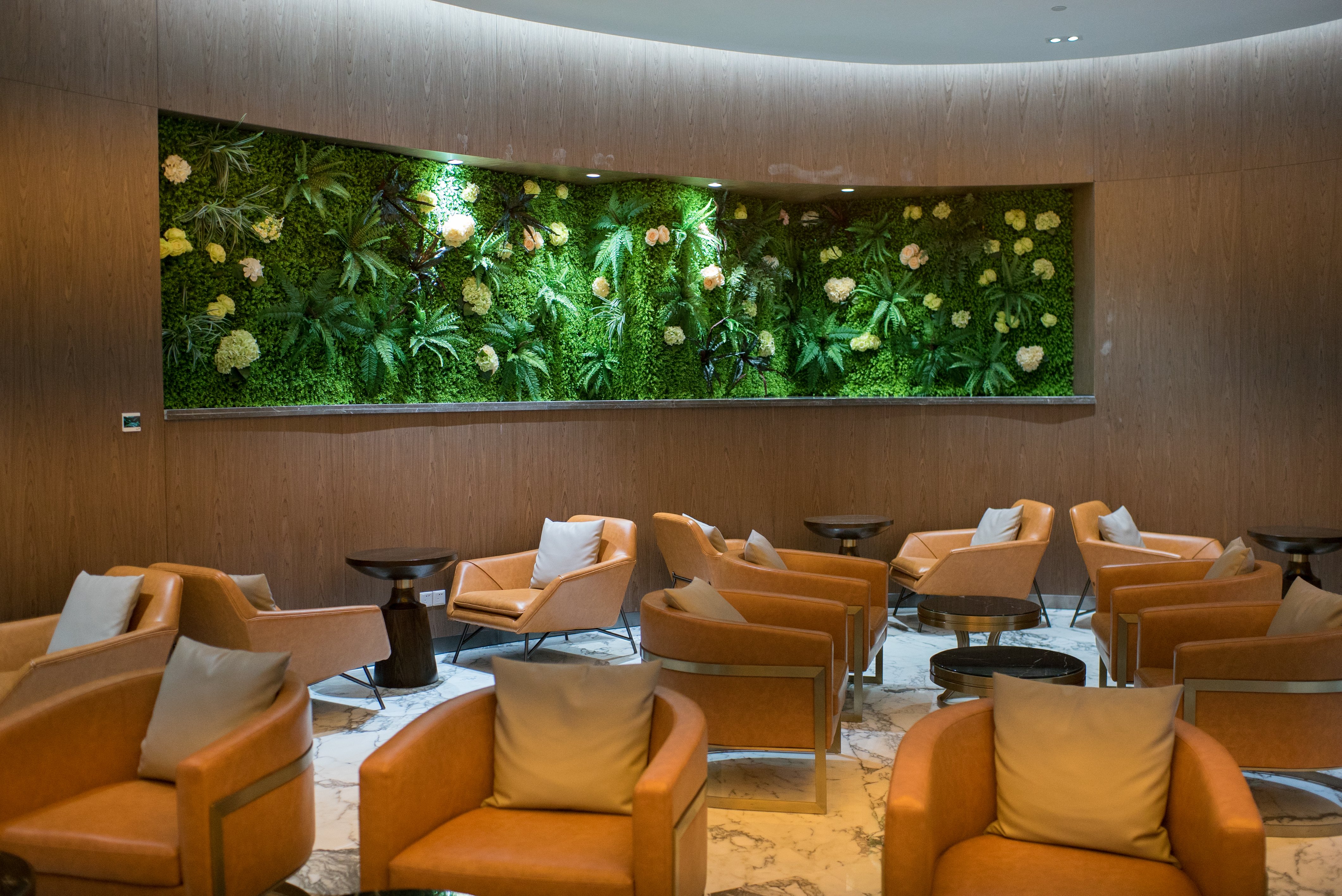 International First and Business Class Lounge, foto 2