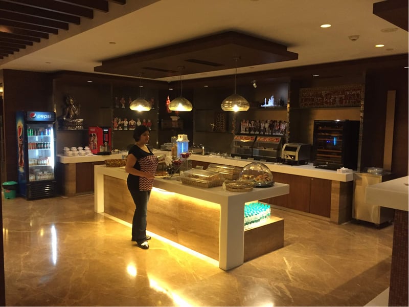Air India Maharajah Lounge (Temporarily Closed), photo 3