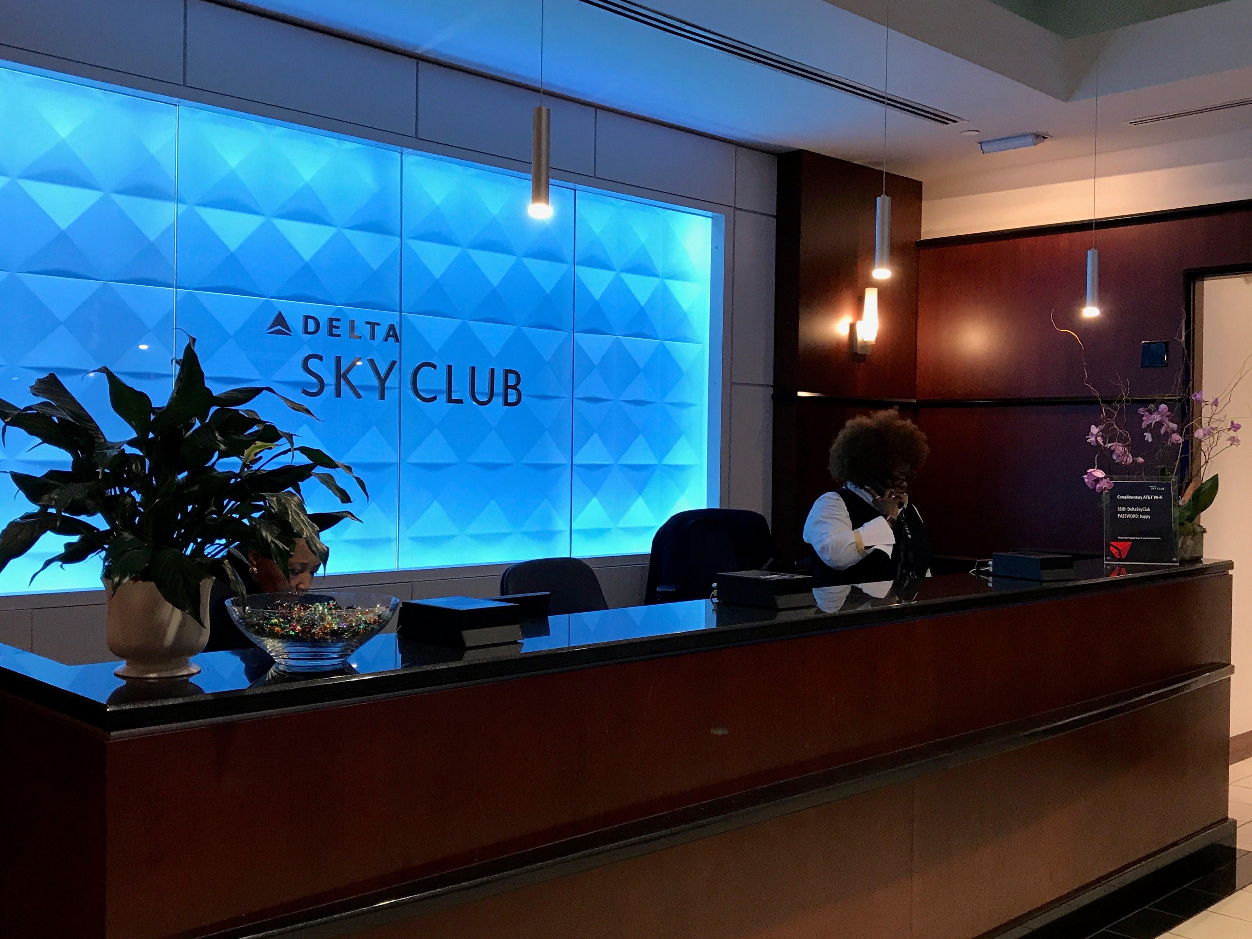 Delta Air Lines Delta Sky Club (Gate D12), photo 7