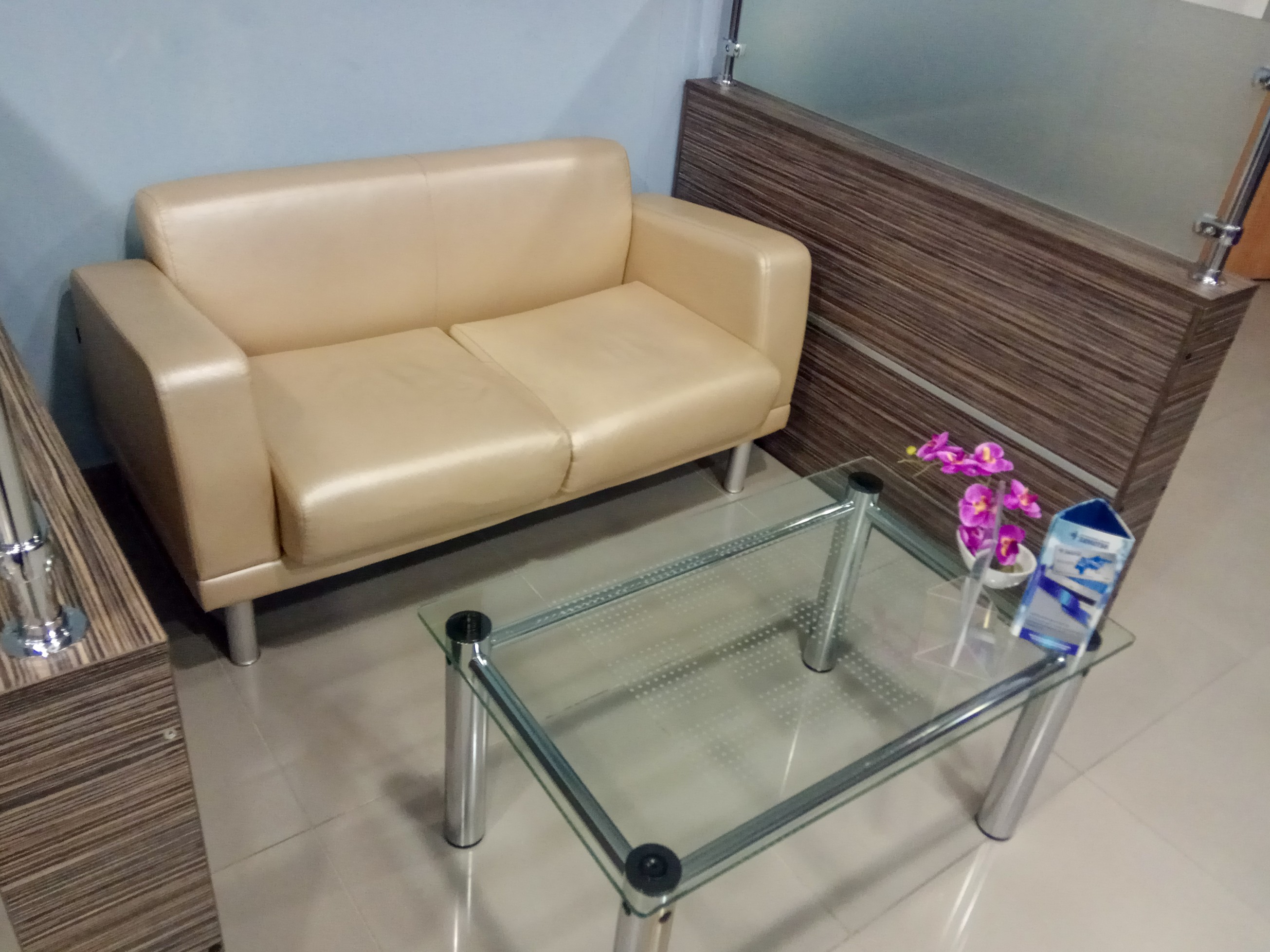 High Comfy Zone Lounge (Domestic), photo 12