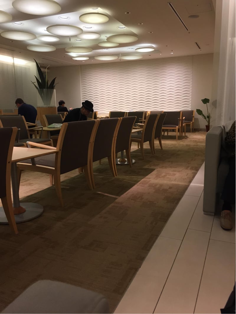 All Nippon Airways ANA Arrival Lounge, photo 5