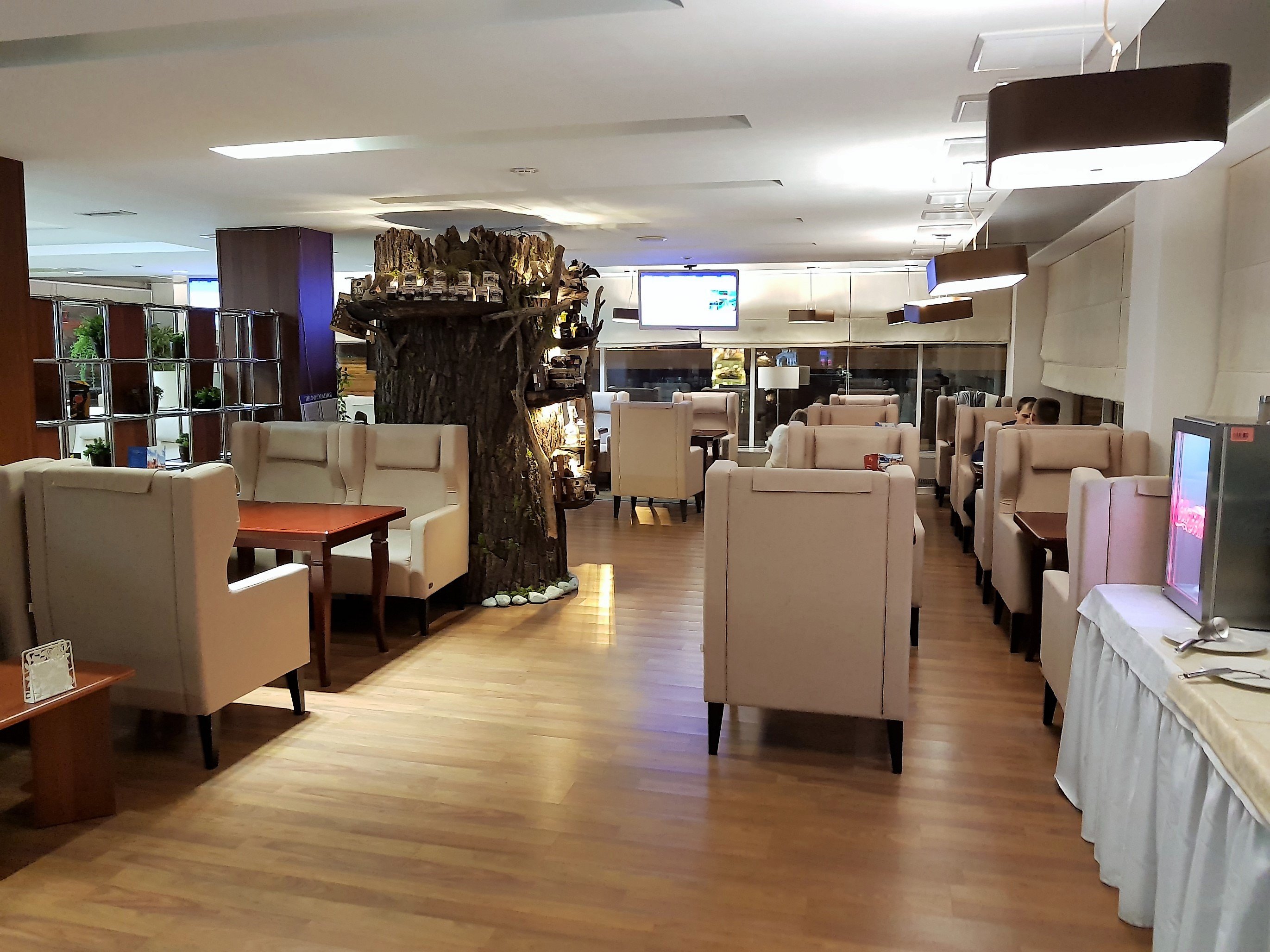 Domestic Business Lounge, photo 8