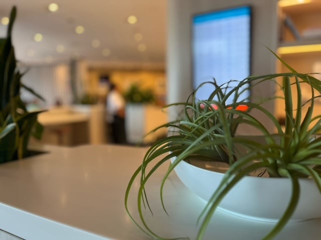 Capital One Lounge, photo 10