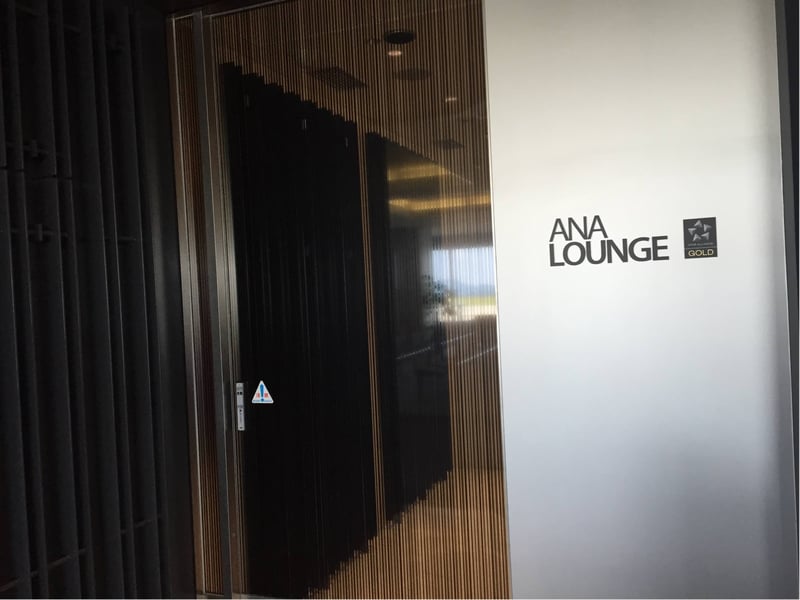 All Nippon Airways ANA Signet, photo 8