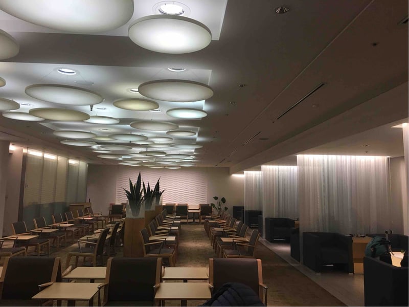 All Nippon Airways ANA Arrival Lounge, photo 7