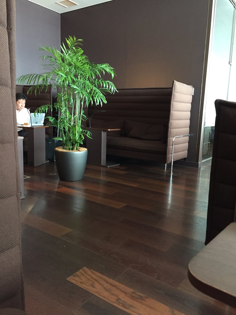 Airport Lounge (South), photo 12