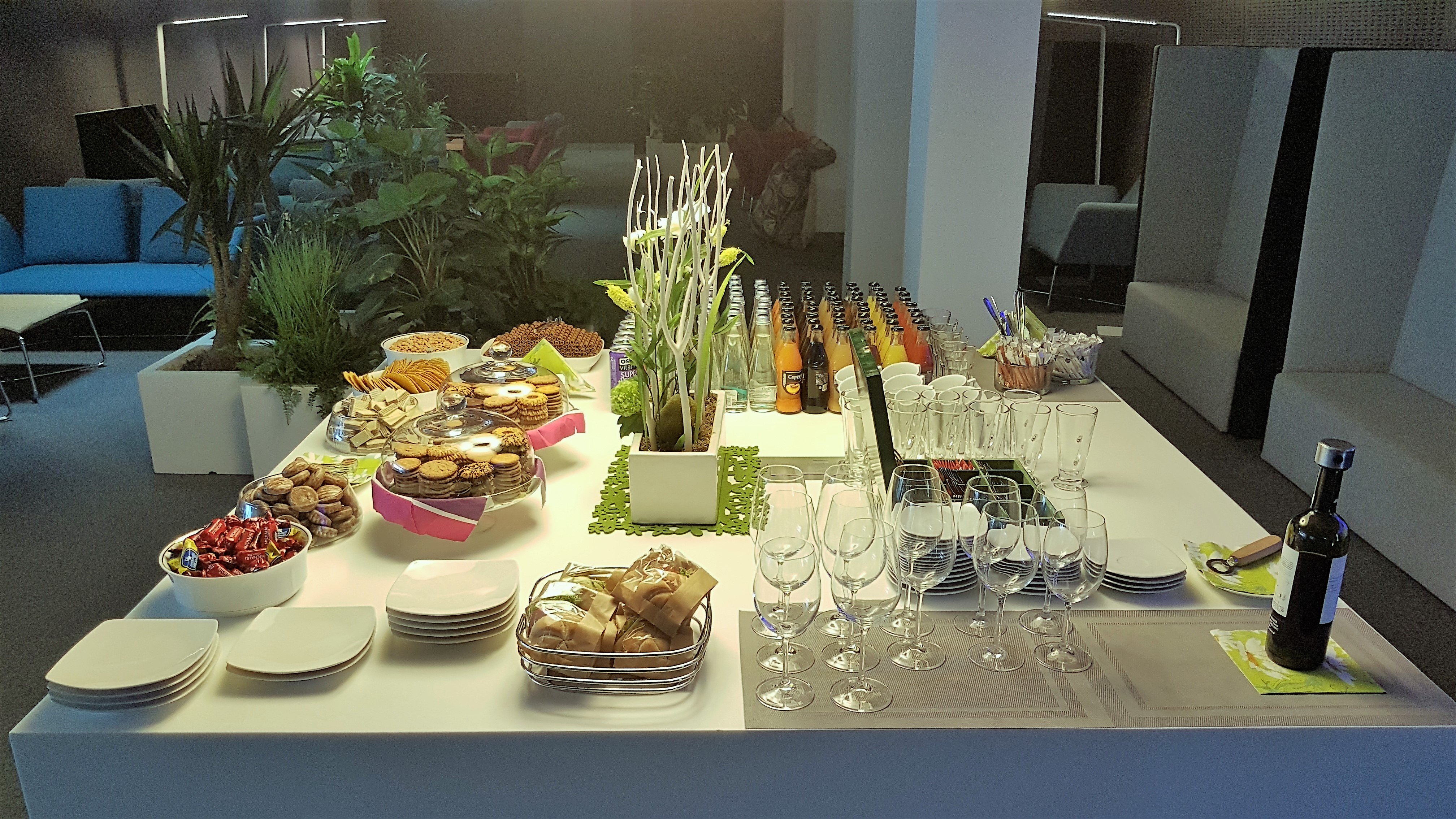 Business Executive Lounge, foto 9