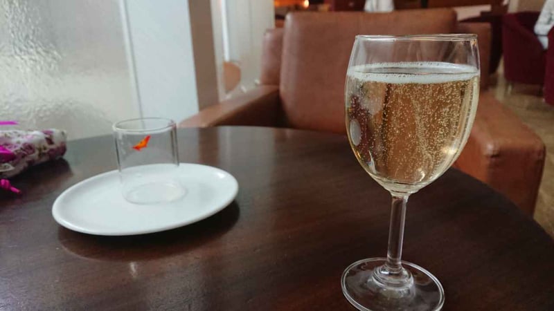 Air India Maharajah Lounge (Temporarily Closed), foto 6